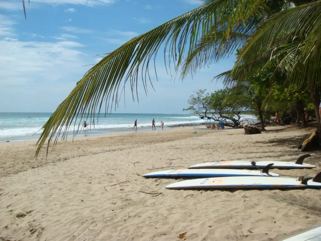 Beach of Avellanas