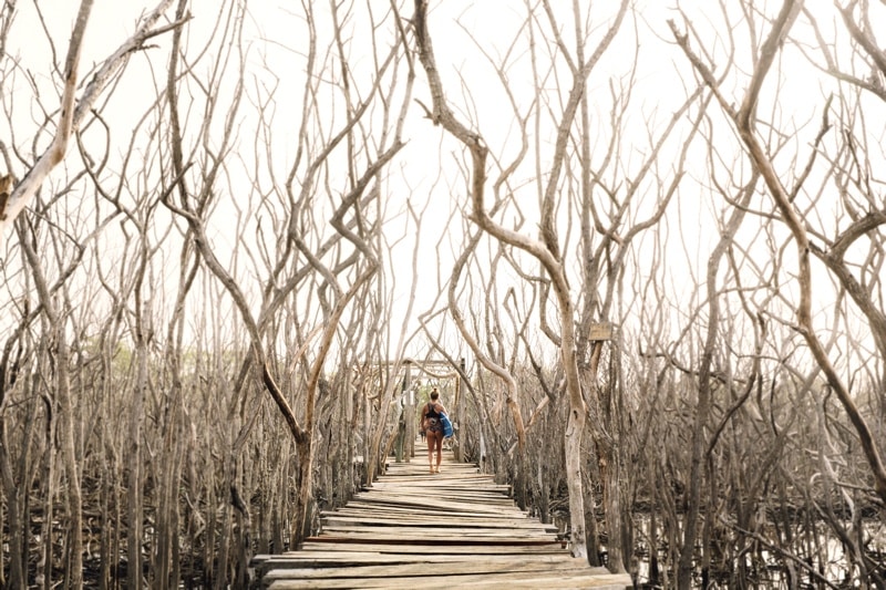Walkway down to the beach at our surf camp near Tamarindo
