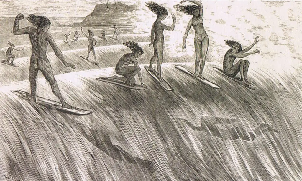 why is surfing popular