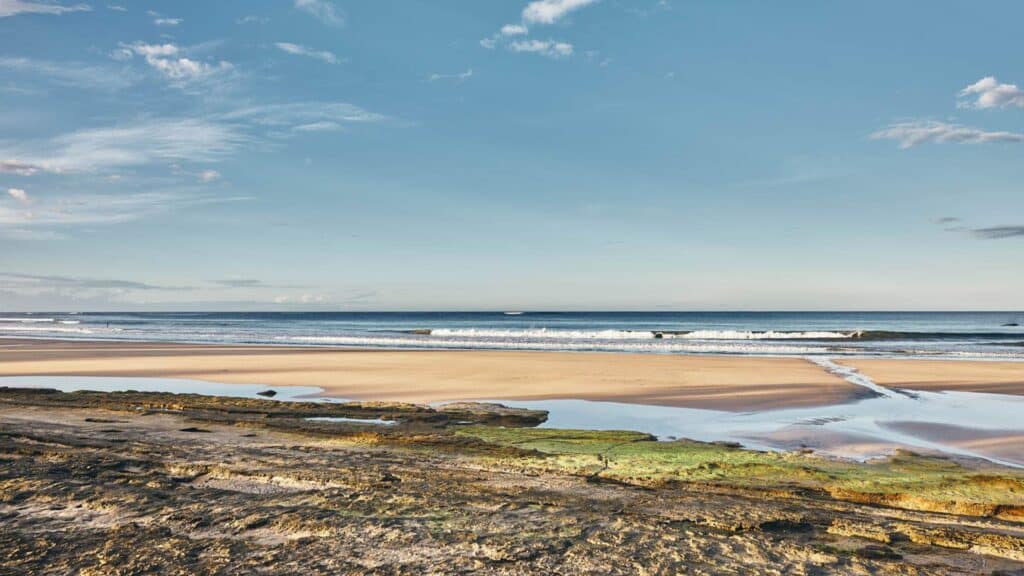 An image of a beach in avellanas in costa rica