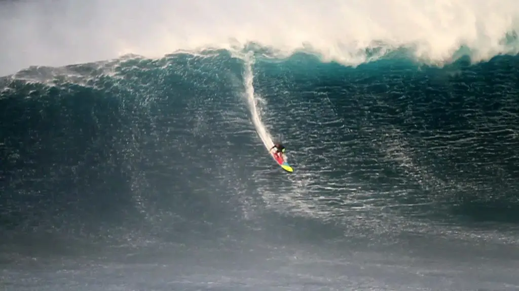 why is surfing popular