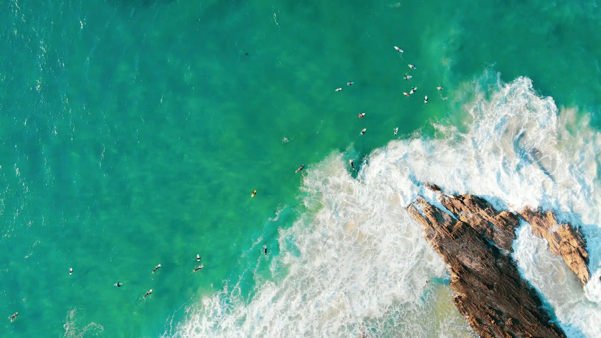 A group of surfers on their boards next to a rock in the middle of the sea