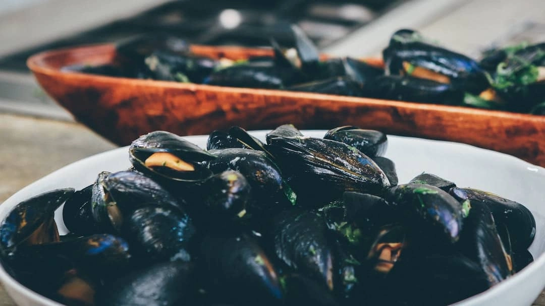 Plate of mussels