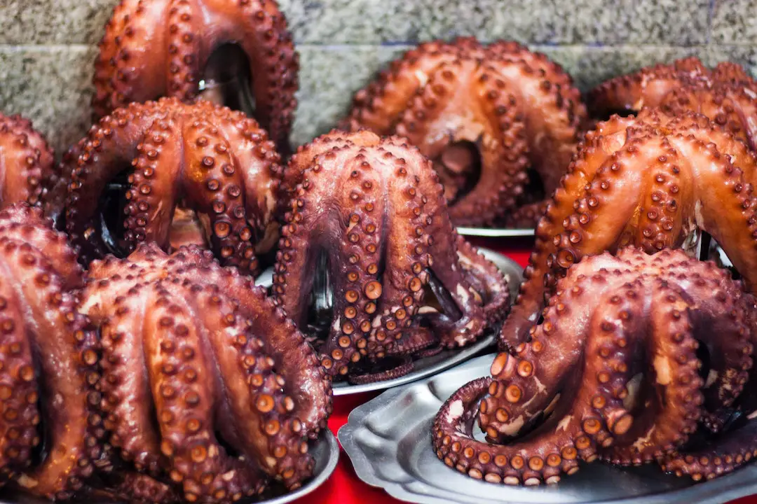 Little plates containing fresh Octopus