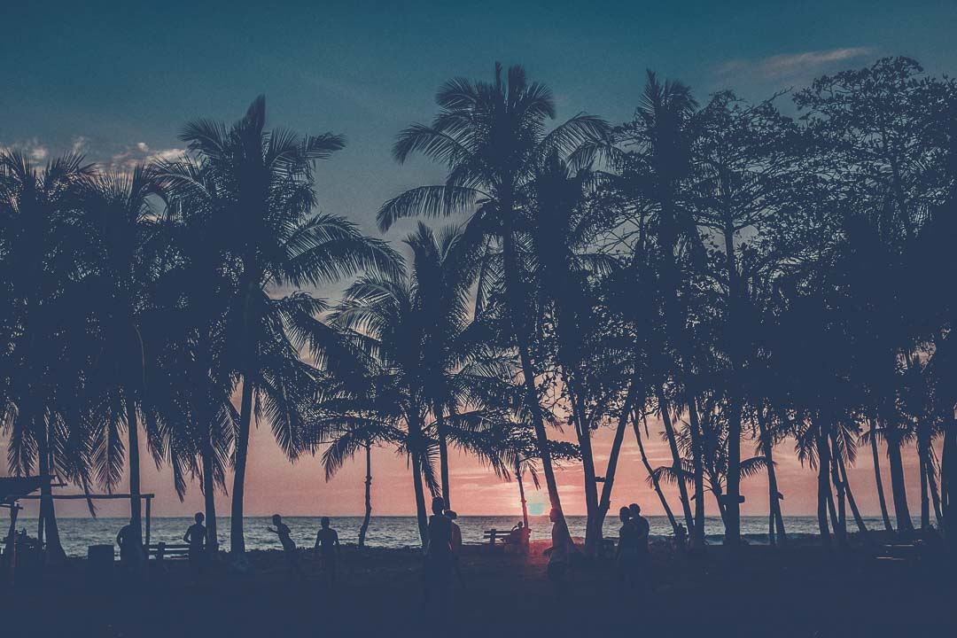 Sunset view with jungle vibes in Costa Rica
