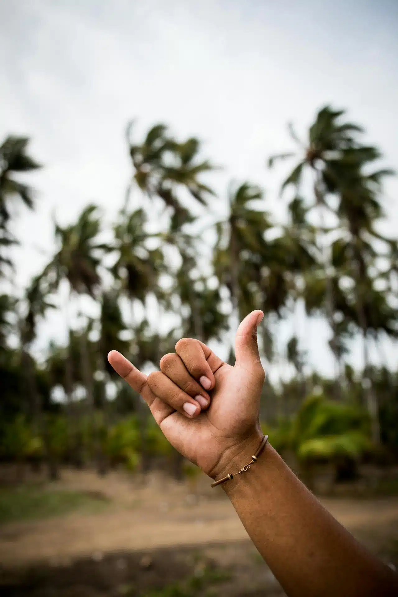 An image of someone doing the shaka