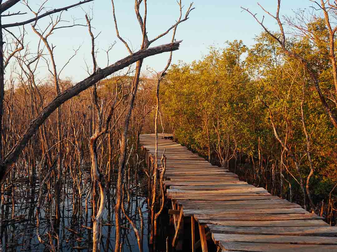 Wooden bridge over the beach Avellanas