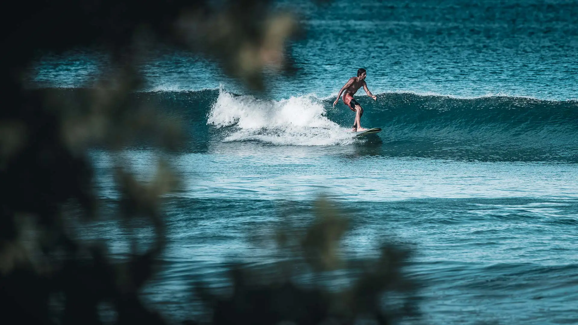 Rapture Surfcamp Costarica Longboarding