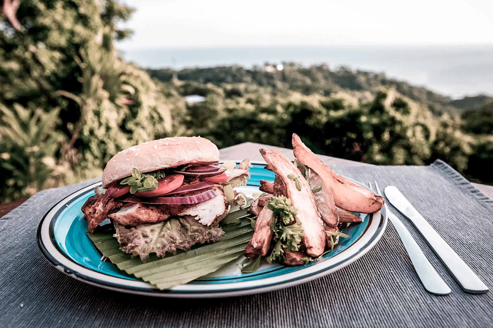 Rapture Surfcamp Nicaragua Chicken Burger with Potato Wedges