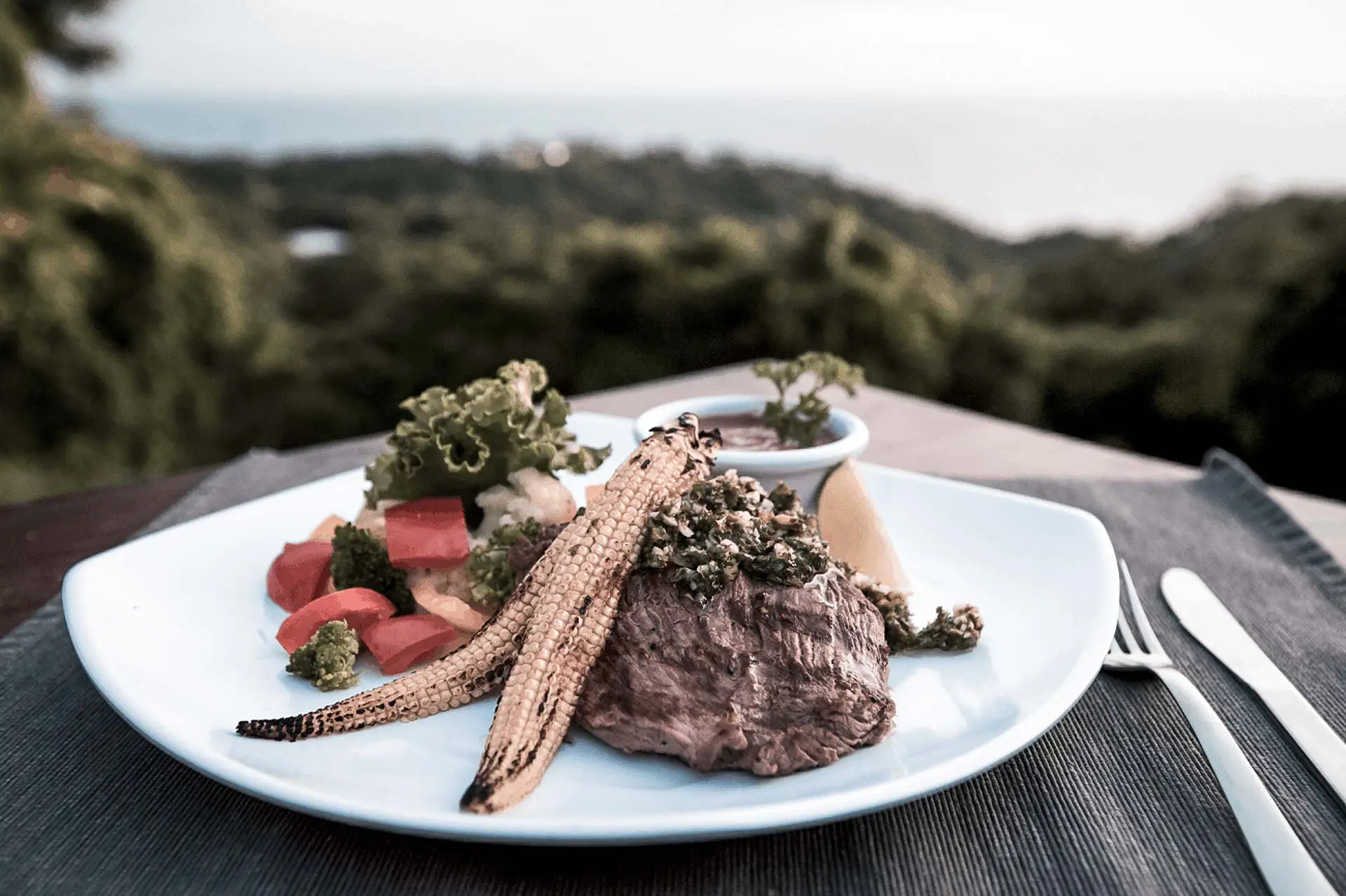 Rapture Surfcamp Nicaragua Churrasco with Chimichurri