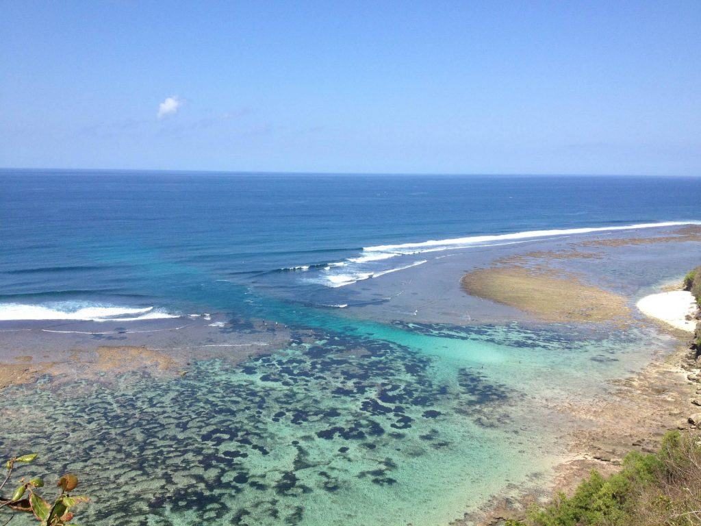 Surf Tips - Green Bowl
