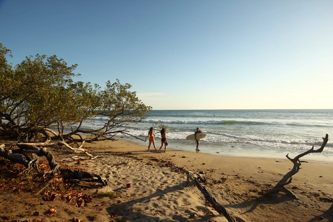 An old woman surfing in costa rica avellanas