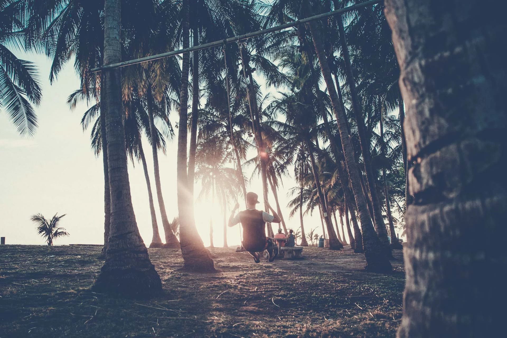 Costa Rica Jungle Sunset