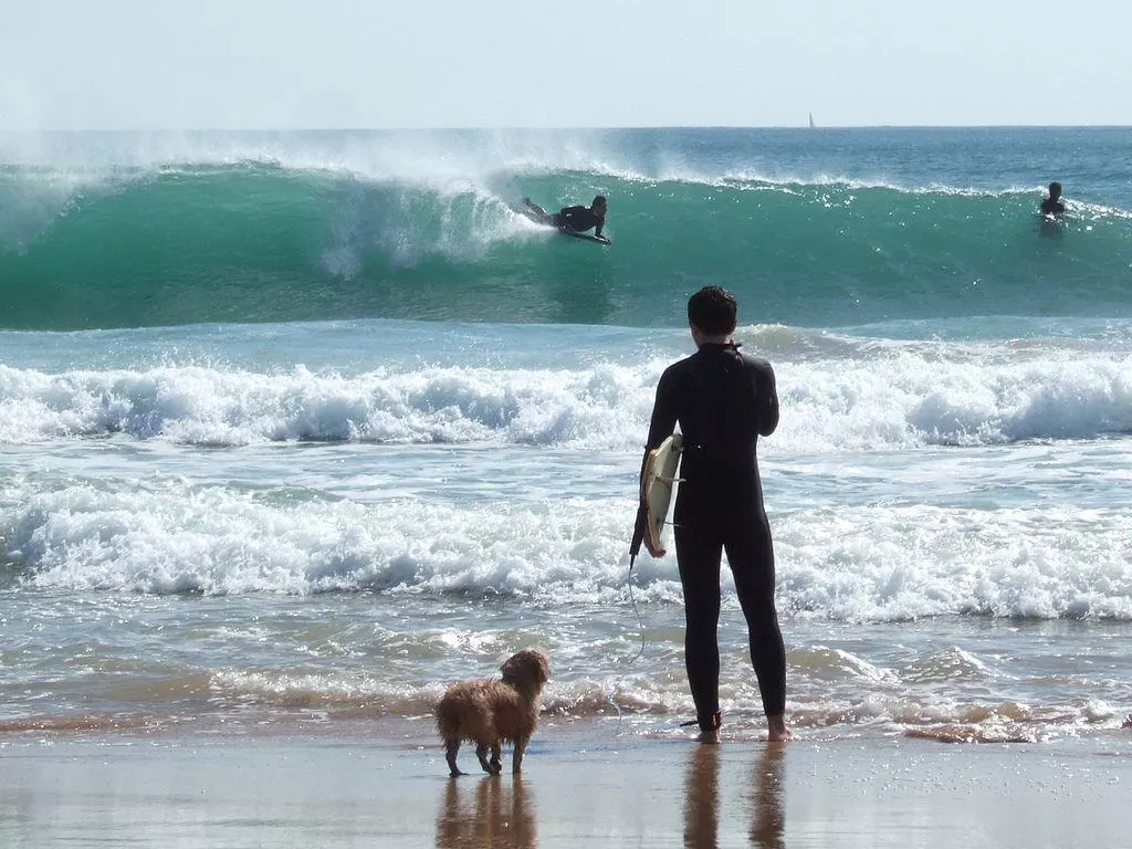 Portugal's Best Surf Spots - Carcavelos. Pic: ceiling (Flickr CC)