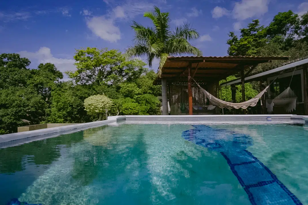 An infinity pool surrounded by lush garden and hammock