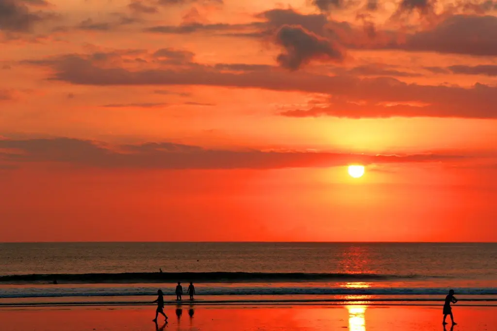 why is surfing popular