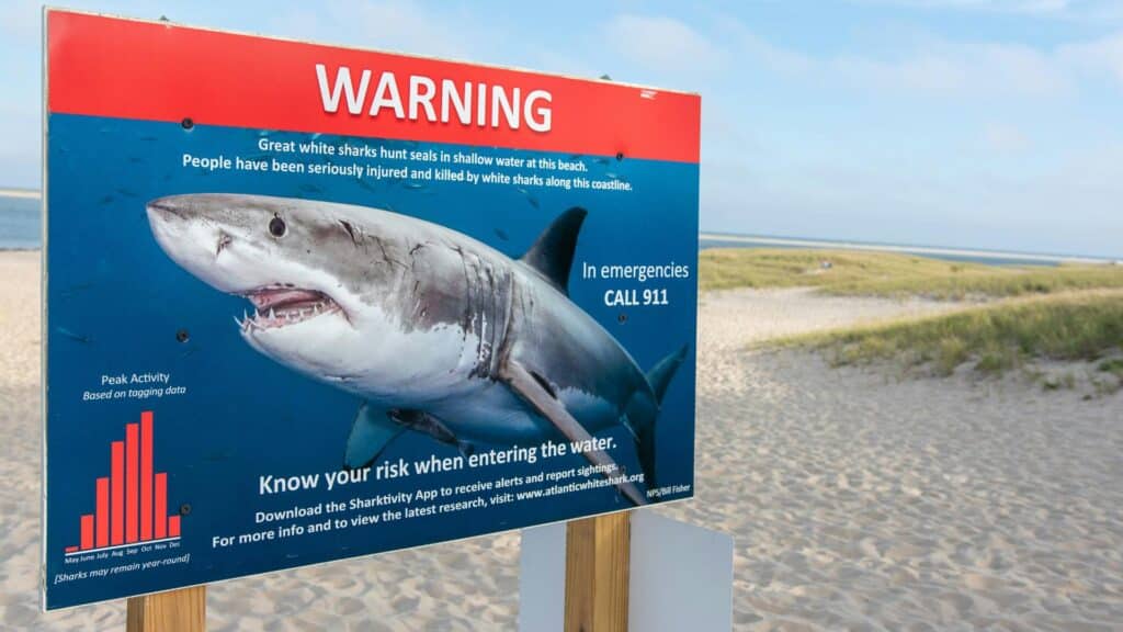  An image of a shark attack warning sign on a beach. The sign states people have been injured and killed by sharks on the coastline and in emergencies the public should call 911