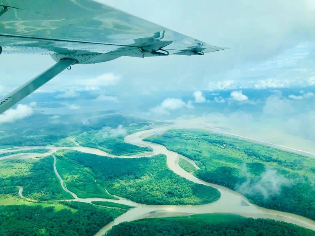 Surfer friendly airline