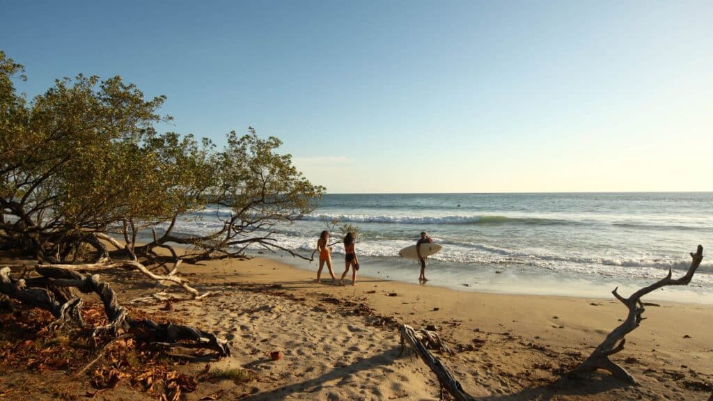 An image of surfers at a beach in Costa Rica