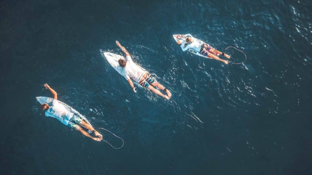 An image of surfers paddling in the ocean