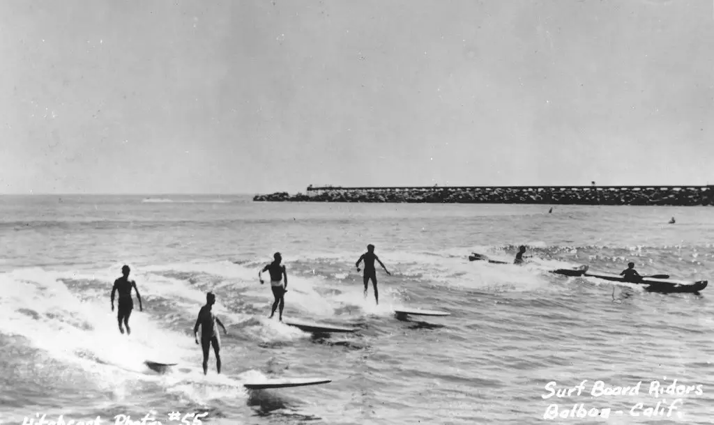 why is surfing popular