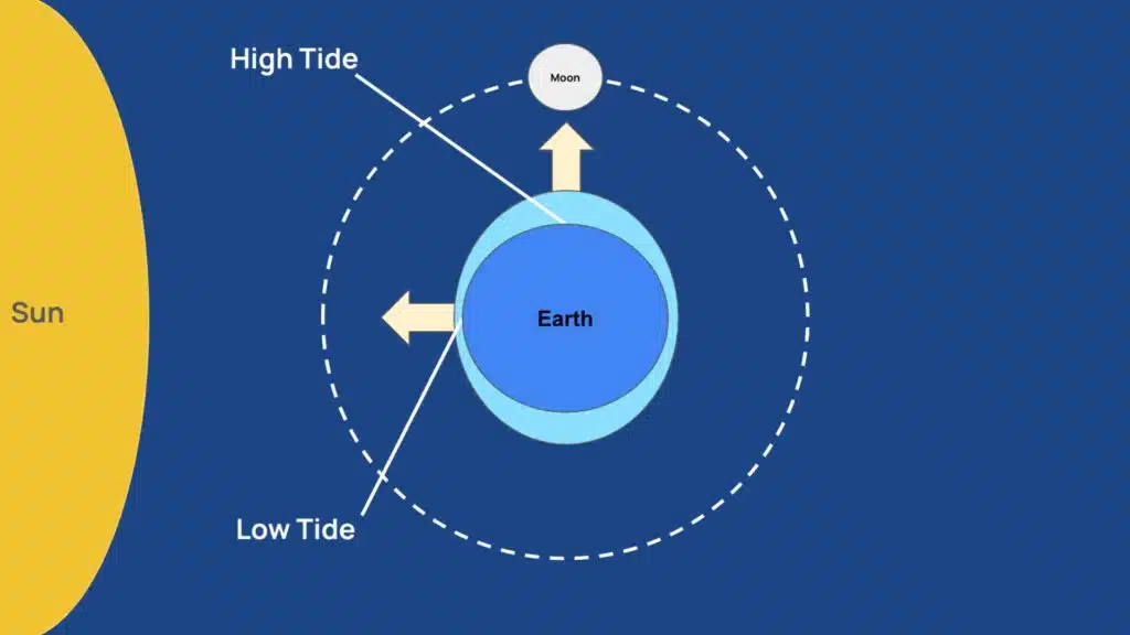 A simple diagram of how tides work
