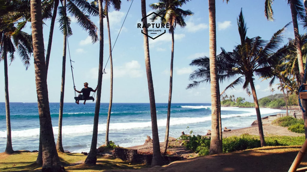 A man on a swing on palm trees at the beach