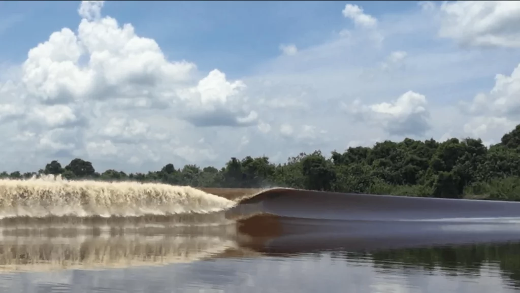 Wave breaking in a river